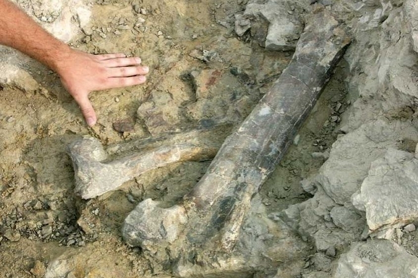 Tierra de dinosaurios en el Pallars Jussà