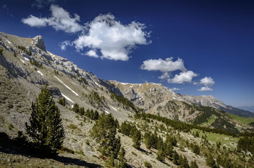 Comabona de El Prat de Aguiló (circulaire)