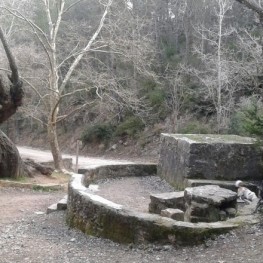 Bosc del Paradís a La Llacuna