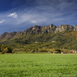 Puigsacalm des de la collada de Bracons