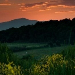 Ruta al bell mig de Gallecs