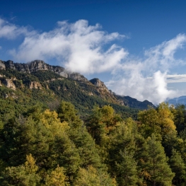 Ruta circular els Tossals de Vilella